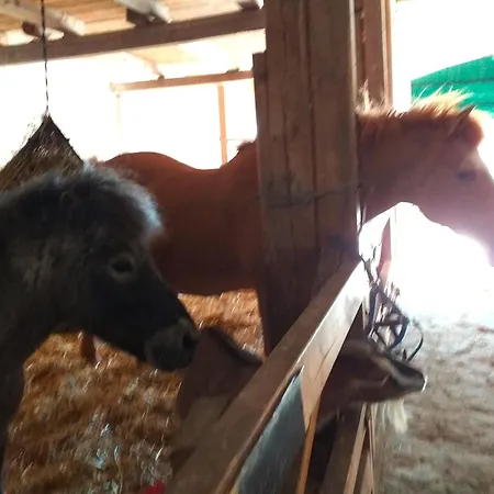 Apartament Bauernhof Hoeper-rauert - Reihenhaus 3